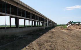 cattle confinement