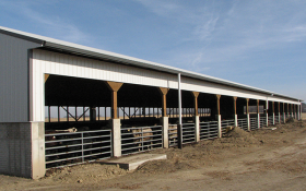 cattle confinement inwood