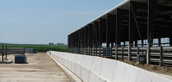 cattle confinement