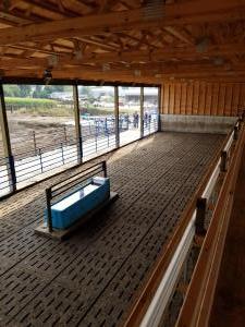 Cattle Confinement