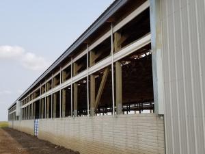 Cattle Conf. Back Wall