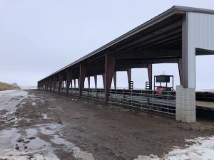 Cattle Confinement
